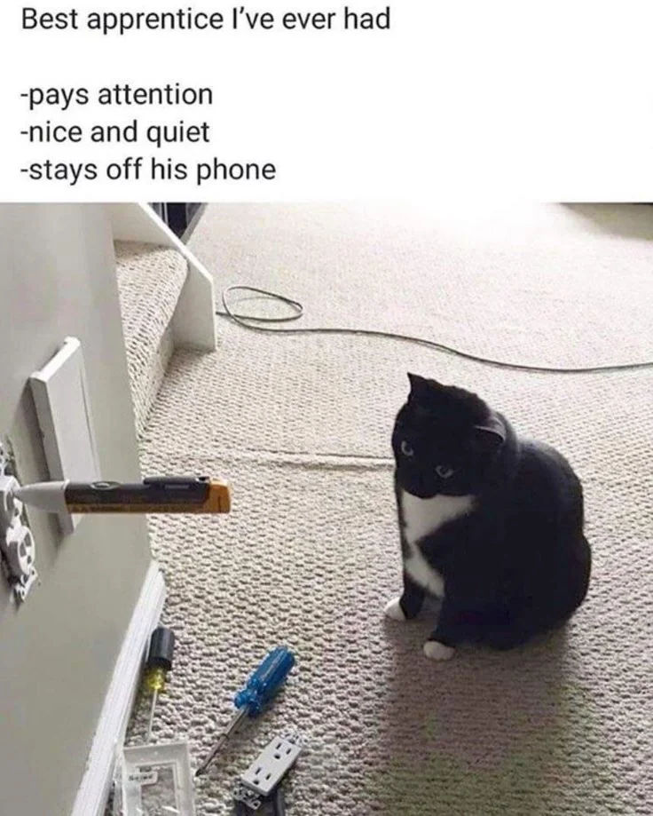 20 Memes That Are Subtly Simple and Stupidly Funny 5 Best apprentice