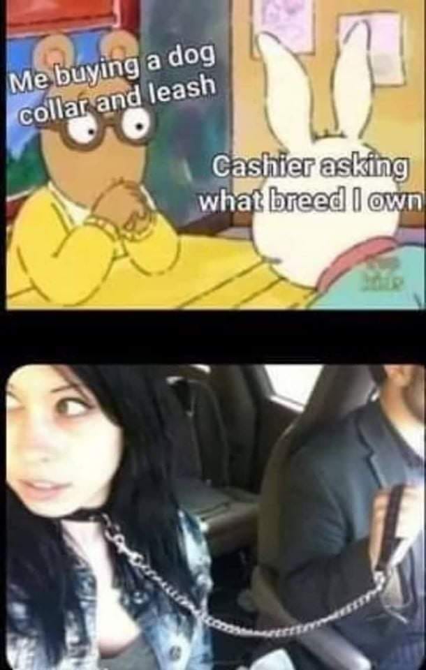 Buying a dog collar