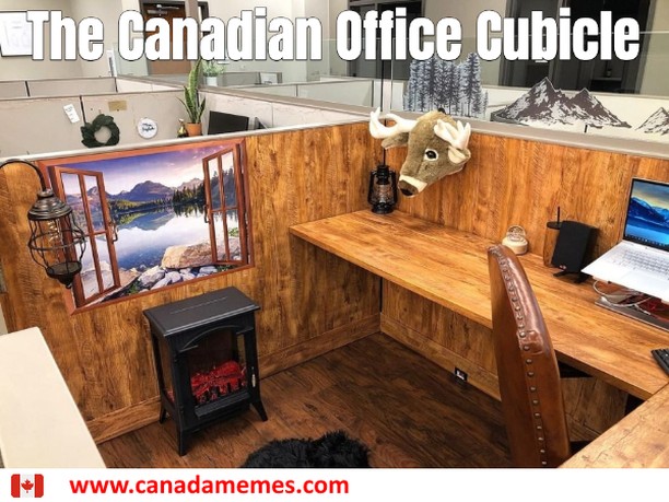 20 Canada Memes That Are One “Eh?” Away From Total Madness 9 Canadian office cubicle