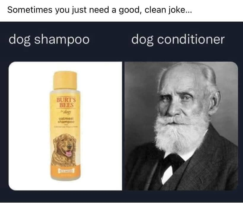 Dog shampoo