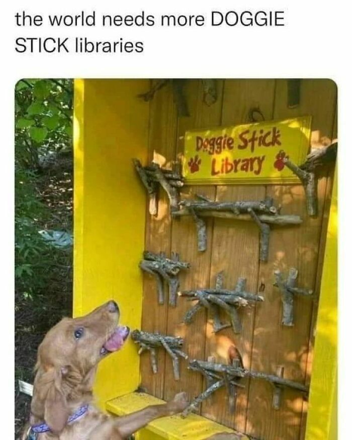 20 Unhinged Dog Memes That Didn’t Need to Go This Hard 5 Doggie stick library