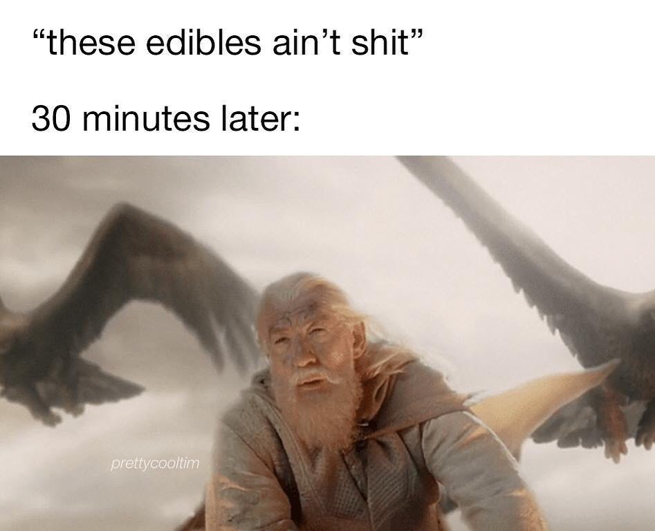 20 Memes That Are Somehow Dumb and Genius at the Same Time 6 Edibles aint shit
