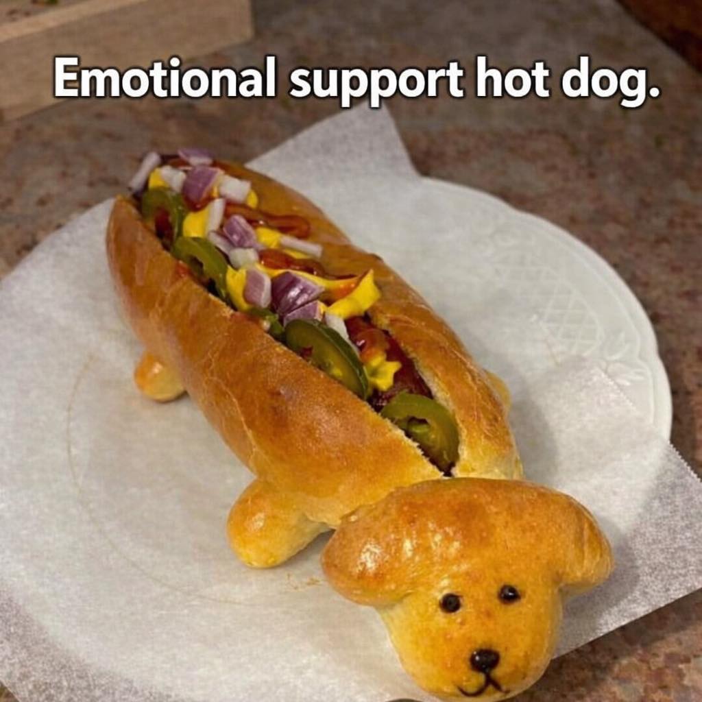 20 Hotdog Memes That Went Off the Grill and Never Came Back 8 Emotional support hotdog
