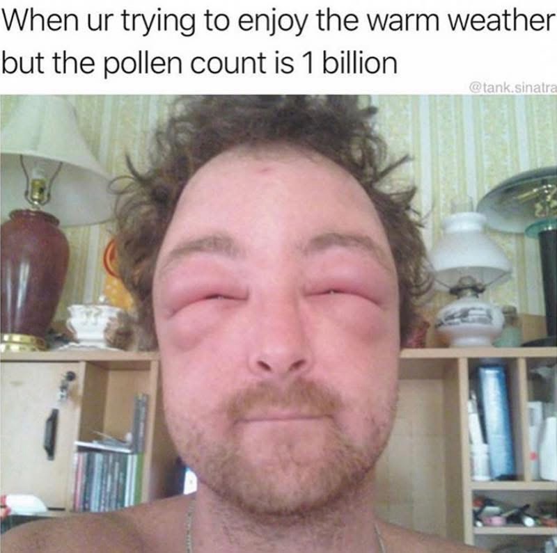 20 Memes That Hit Like Getting Slapped by a Wet Sock 5 Enjoy the warm weather