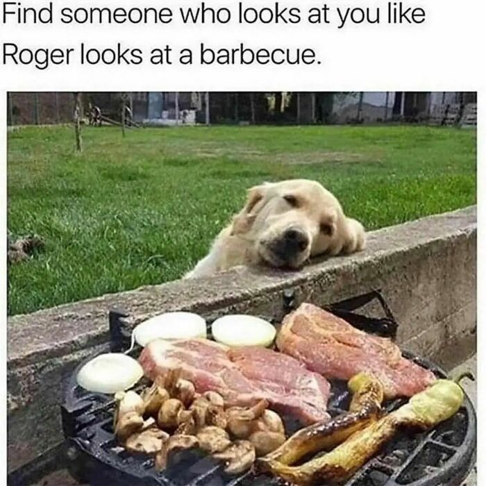 20 Unhinged Dog Memes That Didn’t Need to Go This Hard 8 Find someone who looks at you