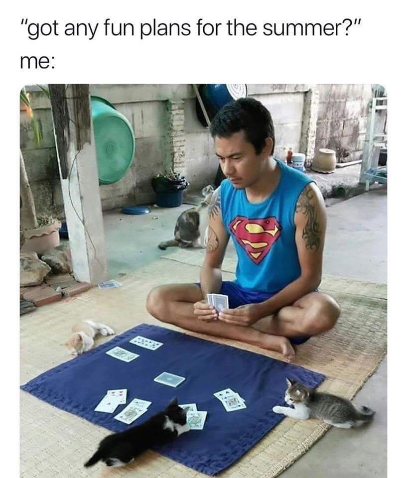 20 Memes That Feel Like Random Thoughts Escaping Your Brain 5 Fun plans for summer