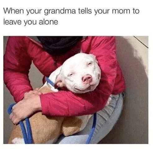 20 Memes That Are Subtly Simple and Stupidly Funny 8 Grandma tells your mom