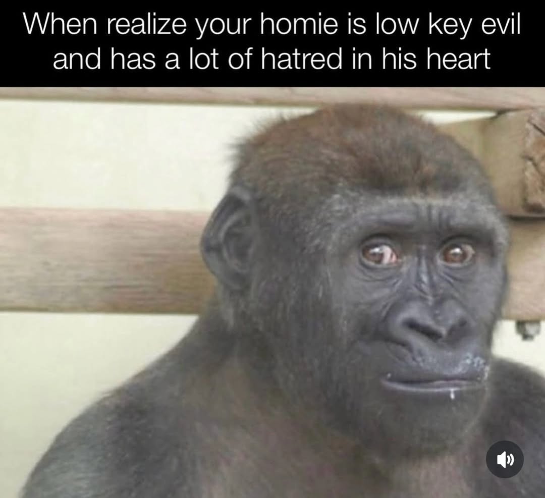 20 Random Silly Memes That Will Make You Laugh Way Harder Than They Deserve 11 Homie is lowkey evik