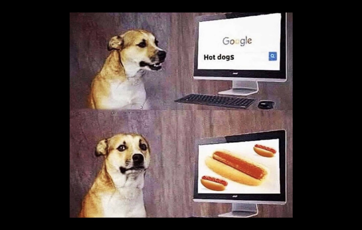 Hotdog Memes That Went Off the Grill and Never Came Back FG