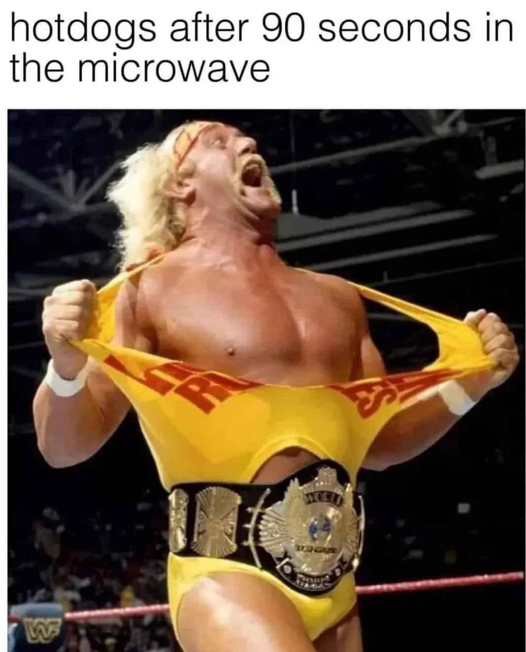 20 Hotdog Memes That Went Off the Grill and Never Came Back 12 Hotdogs after 90seconds