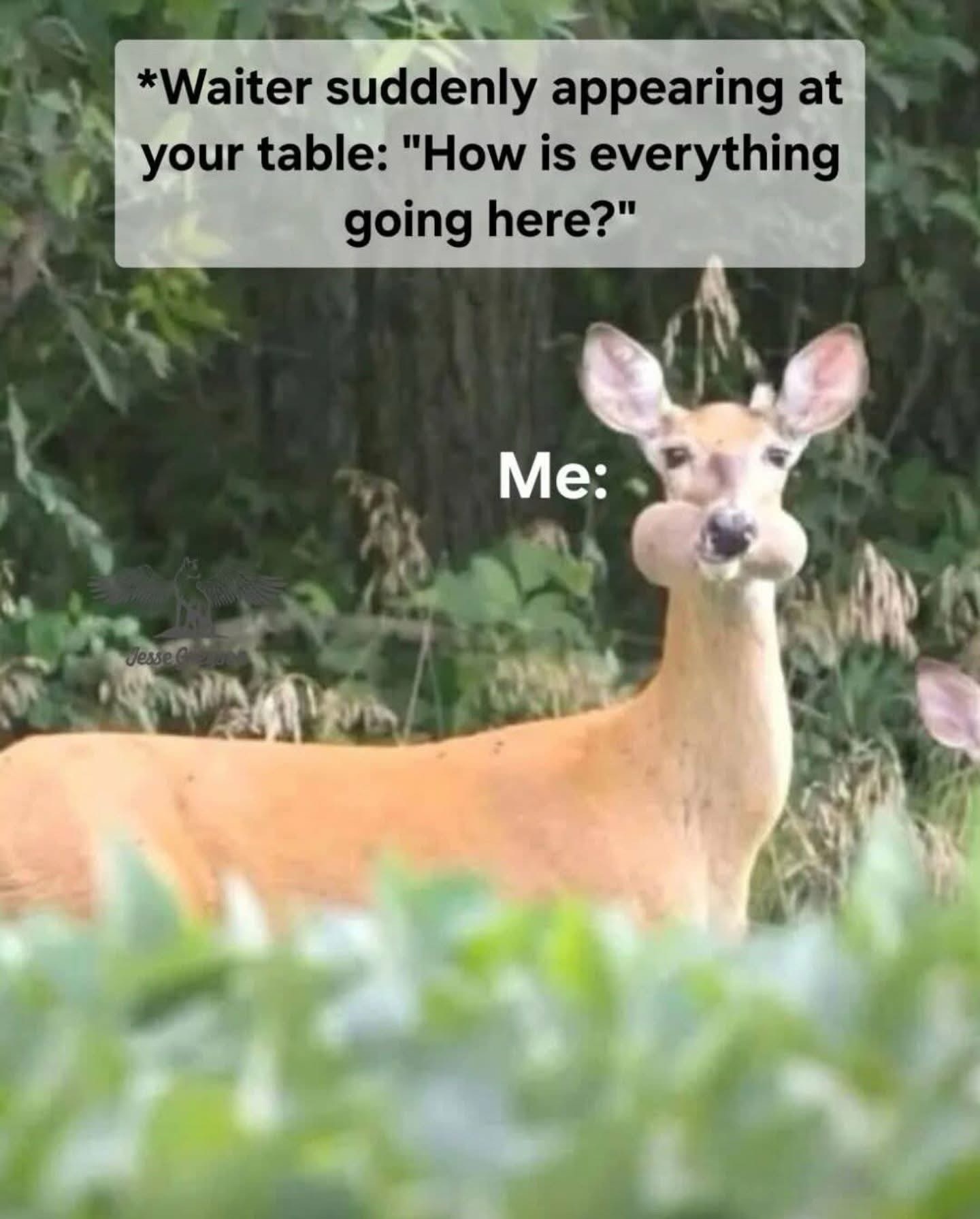 20 Memes That Feel Like a Conversation You Walked Into Midway 10 How is everything here