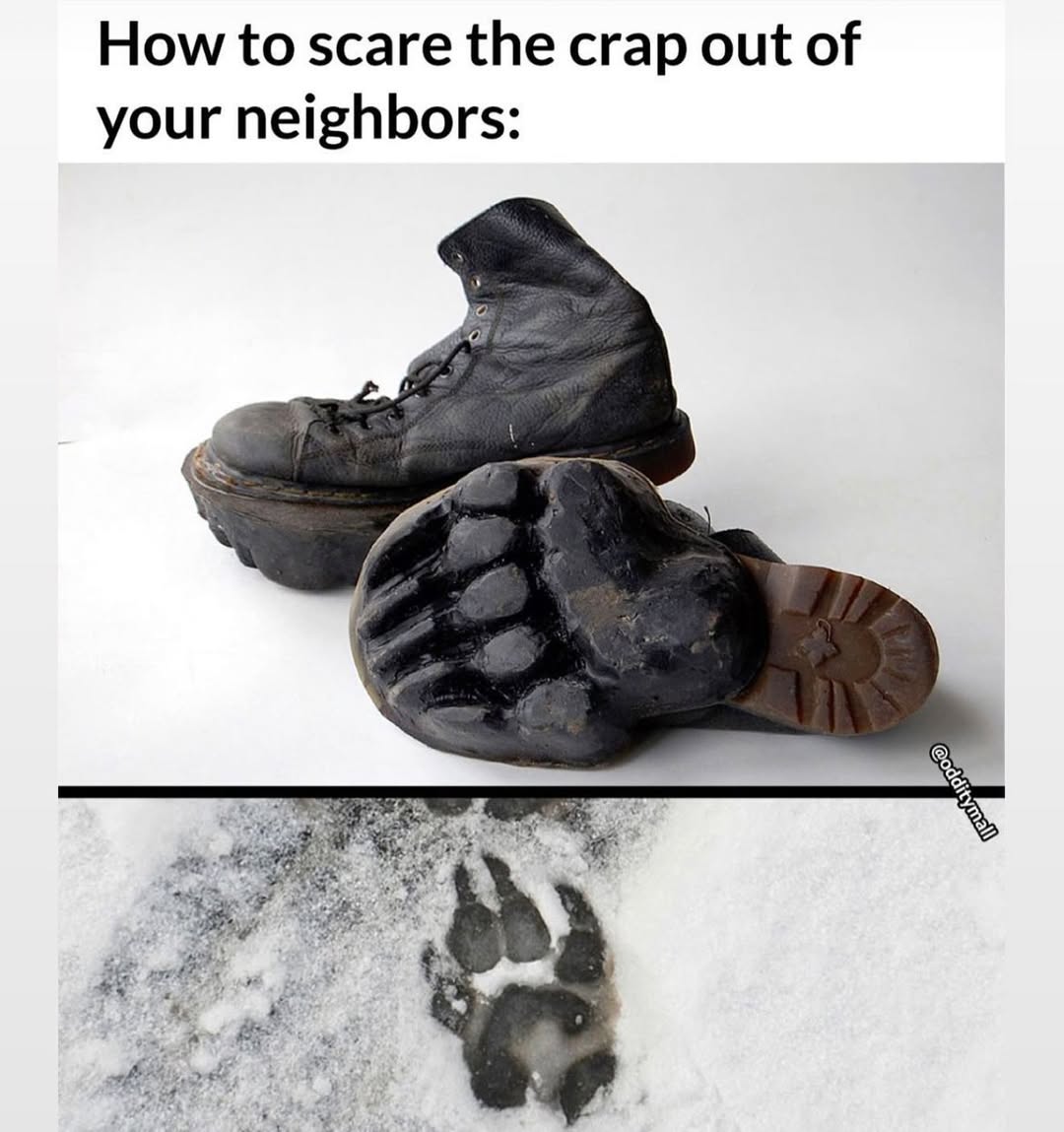 20 Canada Memes That Are One “Eh?” Away From Total Madness 14 How to scare your neighbors