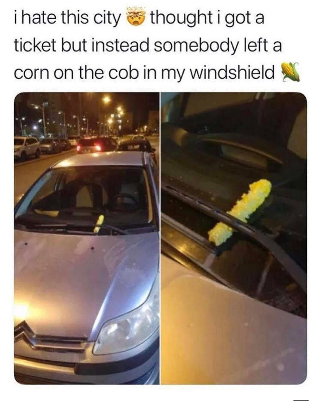 20 Random Memes That Exist for Absolutely No Reason and That’s the Reason 9 I hate this city