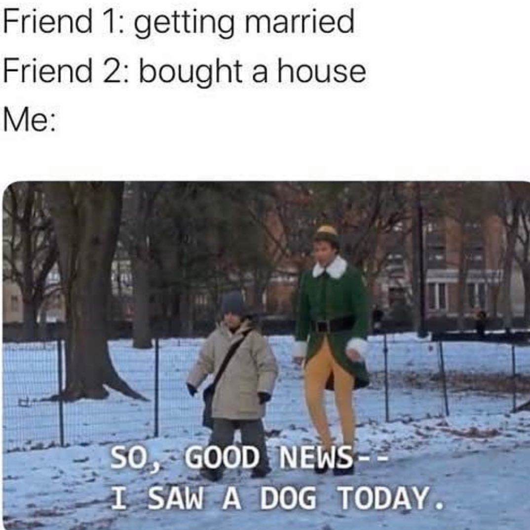 20 Memes You’ll Open Out of Curiosity and Not Recover From 8 I saw a dog today