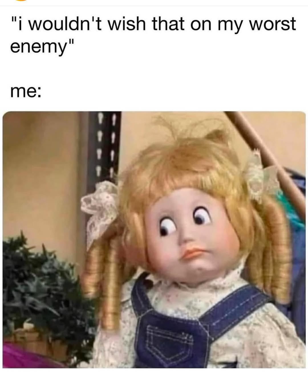 20 Random Silly Memes That Will Make You Laugh Way Harder Than They Deserve 12 I wouldnt wis that