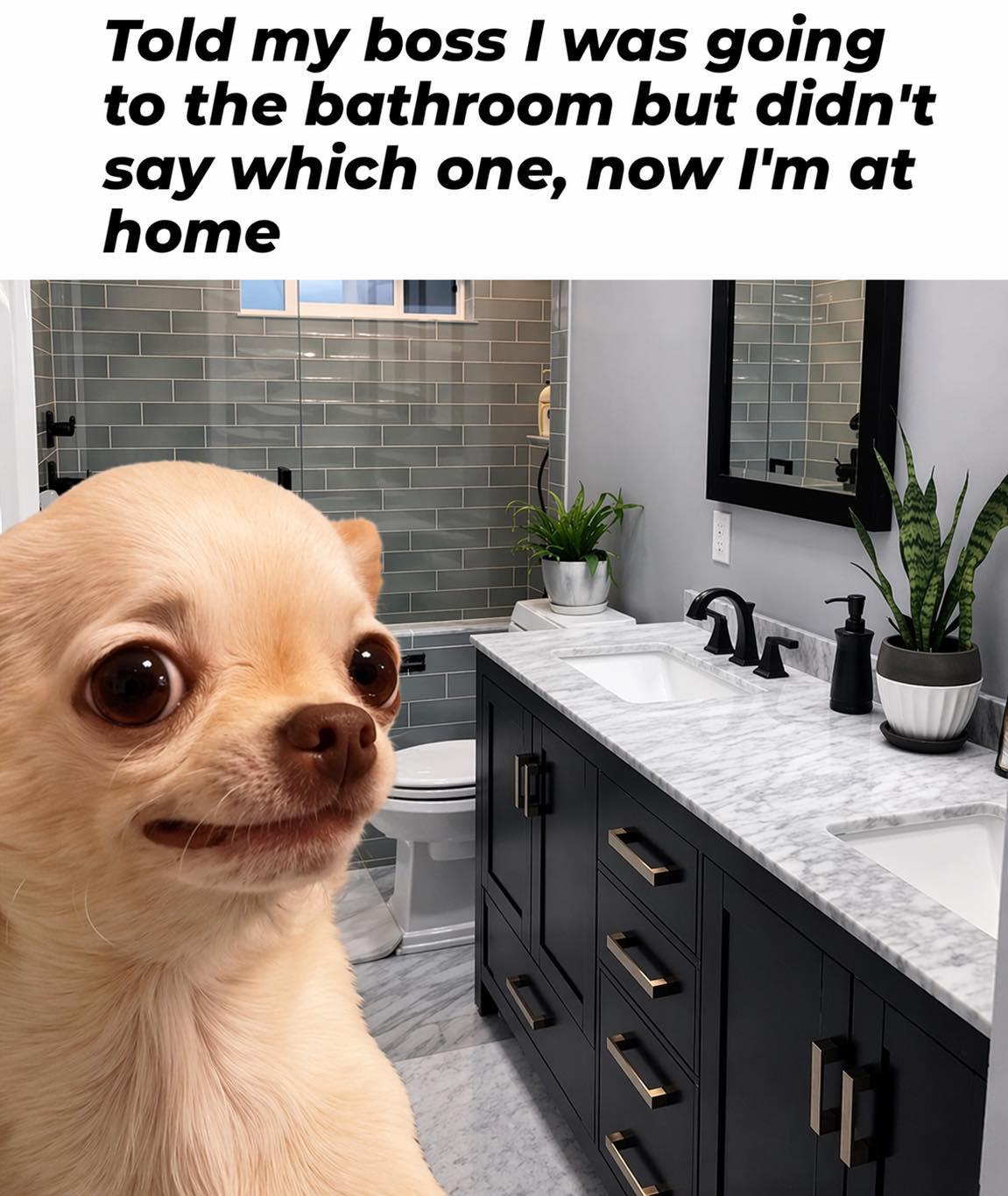 20 Internet Dumpster Fire Memes You Won’t Be Able to Look Away From 14 Im at hoem