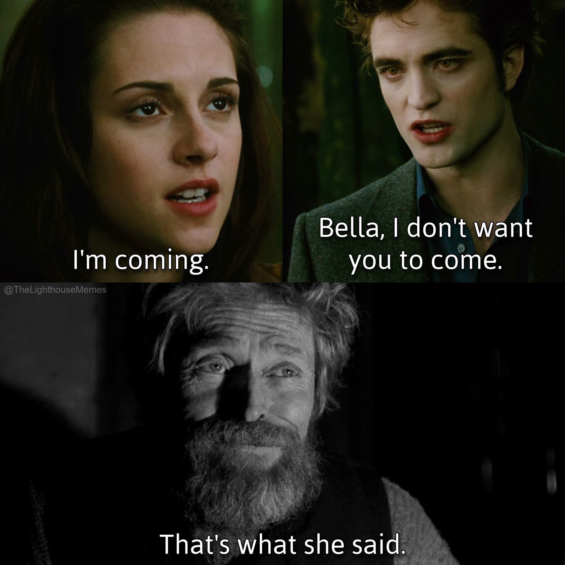 20 'The Lighthouse Memes' More Unhinged Than Two Men Trapped With One Seagull 8 Im coming