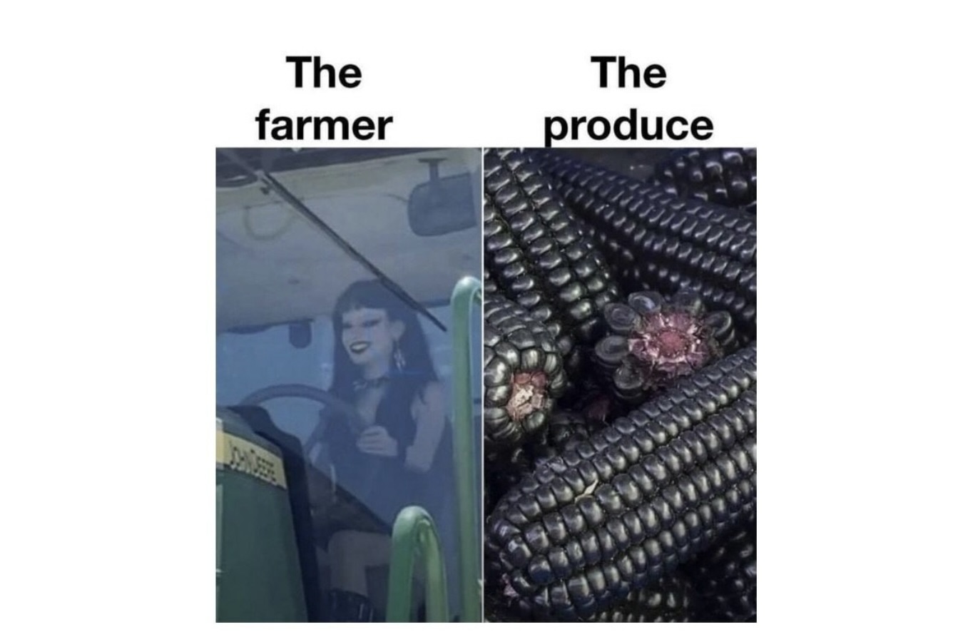 Internet Dumpster Fire Memes You Wont Be Able to Look Away From FG