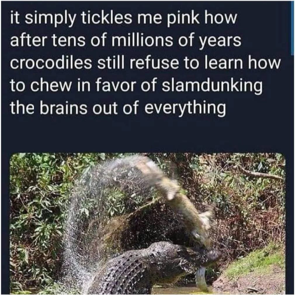 20 Memes That Are Subtly Simple and Stupidly Funny 12 It simply tickles me