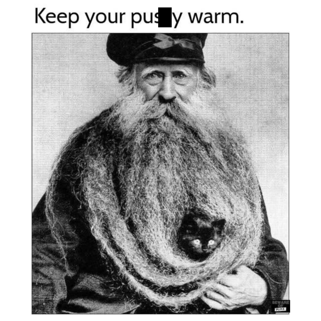 20 Memes That Sneak in a Few Naughty Jokes Between the Madness 13 Keep your cat warm