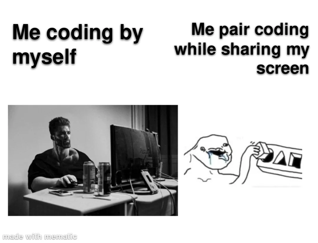 20 Coding Memes That Hit Harder Than a Missing Semicolon 14 Me coding by myself
