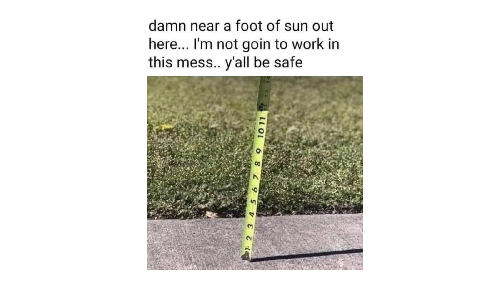Memes That Absolutely Refused to Stay in Their Lane FG