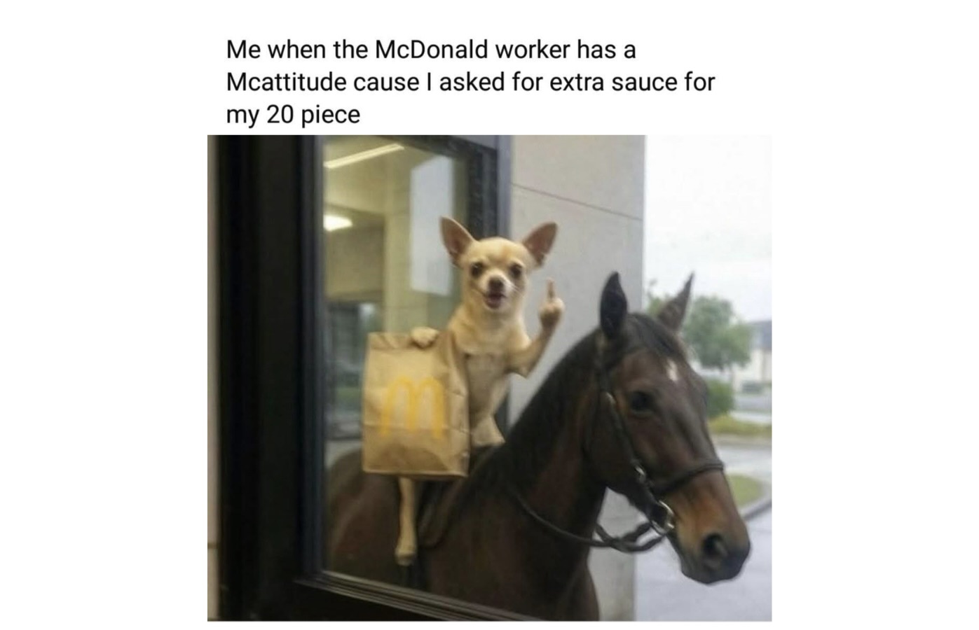 Memes That Are Basically Nonsense With Confidence FG