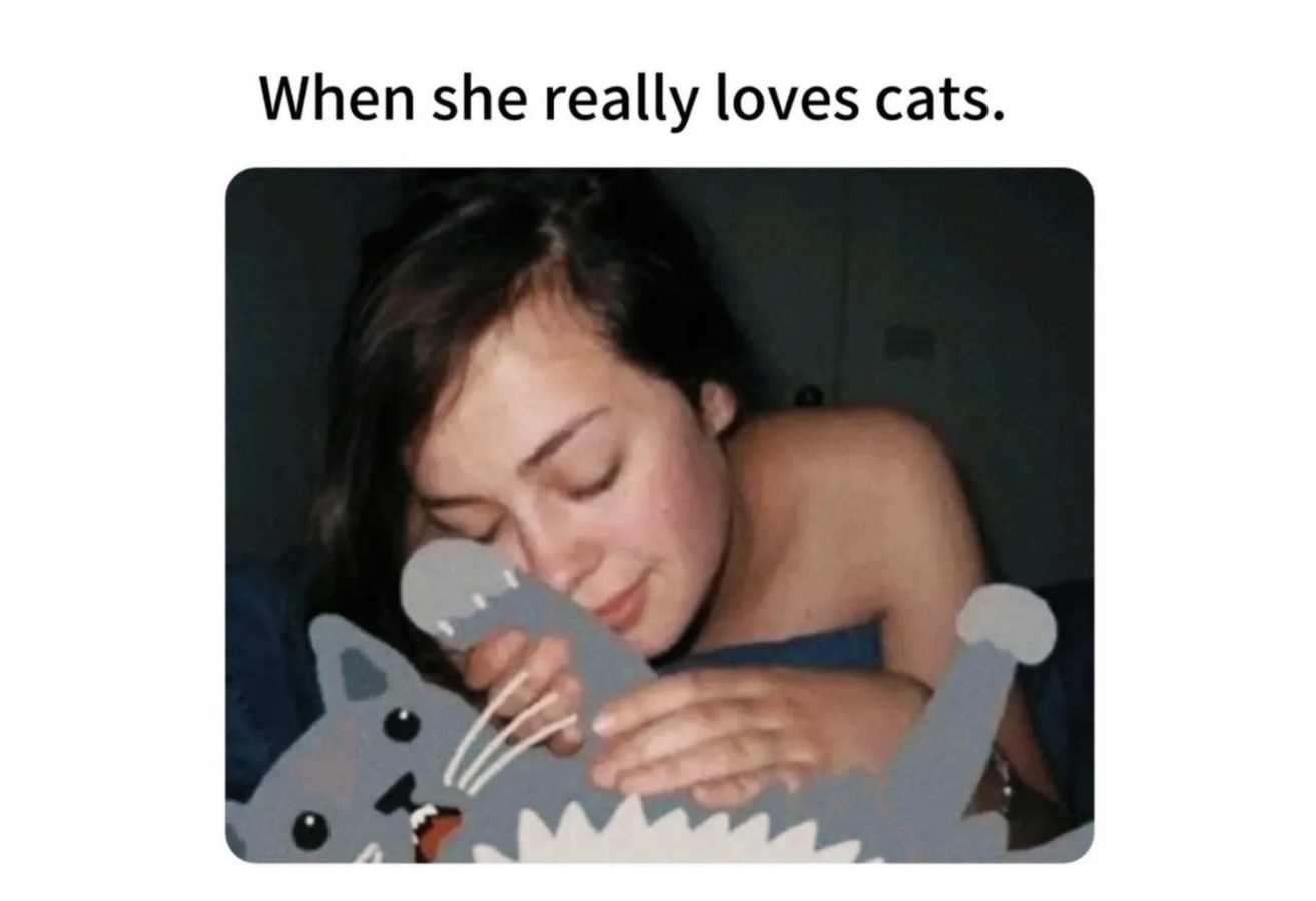 Memes That Are Too Dirty for Decency and Too Funny to Ignore FG