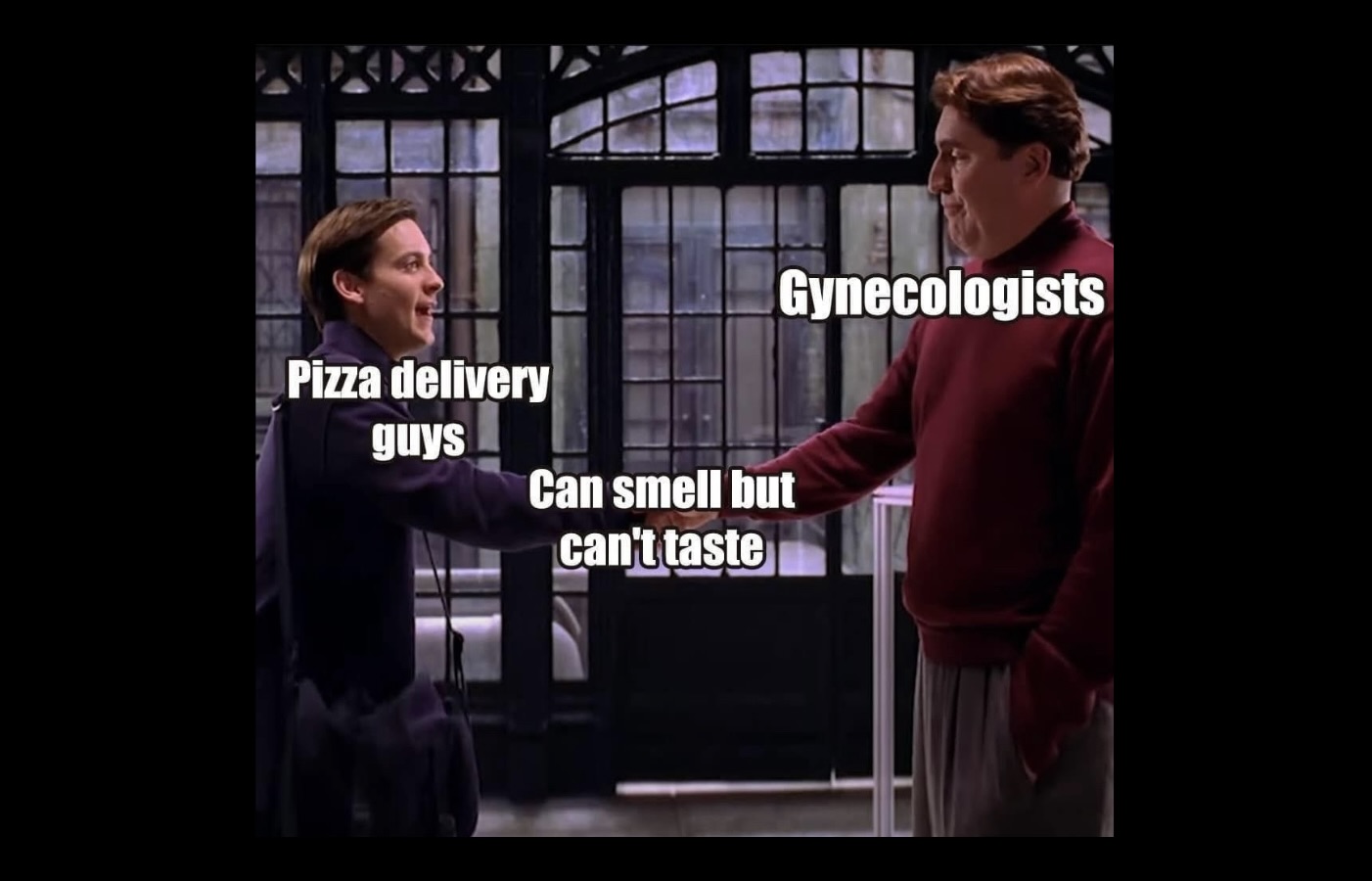 Memes That Feel Like a Bad Idea Youd Absolutely Say Yes To FG