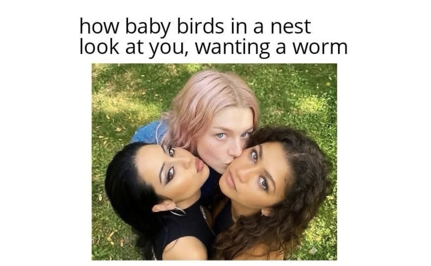 Memes That Went Off the Rails Somewhere Around Meme FG