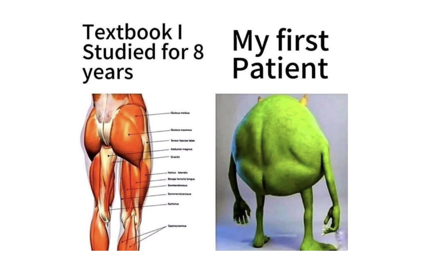 Memes That Were Definitely Found in a Dumpster Behind Reality