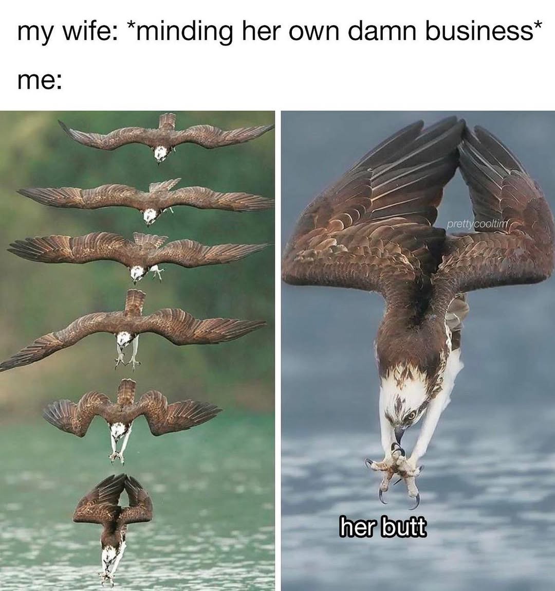 20 Memes That Are Somehow Dumb and Genius at the Same Time 14 Minding her own business