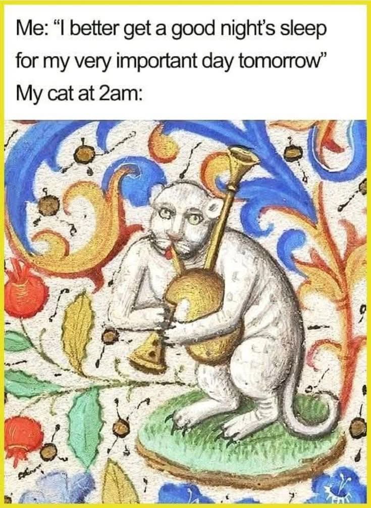 20 Memes That Were Definitely Found in a Dumpster Behind Reality 10 My cat at 2