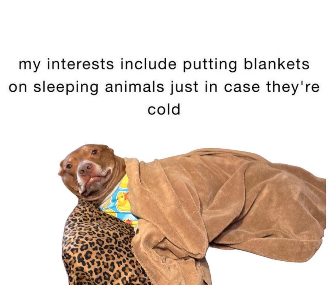 20 Memes That Are Funny, Random, and Occasionally a Little Bit Naughty 11 My intrest include