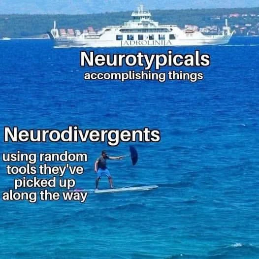 20 Random Memes That Exist for Absolutely No Reason and That’s the Reason 12 Neurotypicals vs neurodivergents