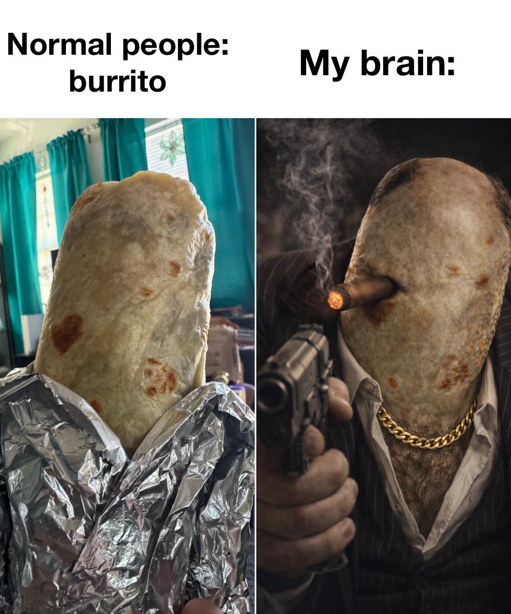 20 Memes That Screamed Internally So You Didn’t Have To 12 Normal people burrito