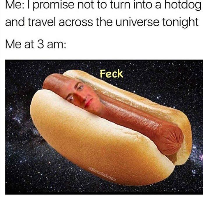 20 Hotdog Memes That Went Off the Grill and Never Came Back 13 Not to turn into hot dog