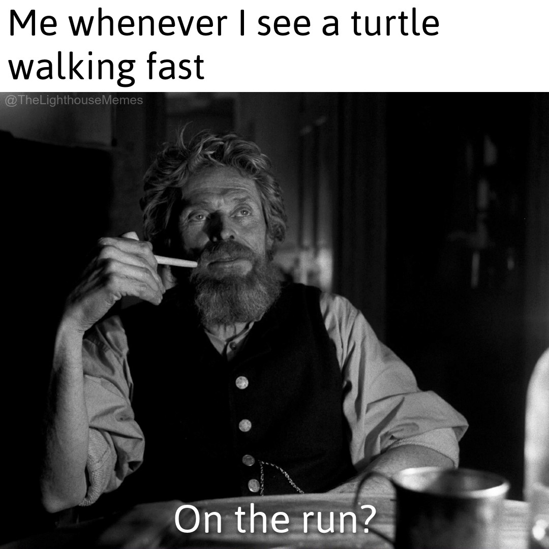 20 'The Lighthouse Memes' More Unhinged Than Two Men Trapped With One Seagull 15 On the run