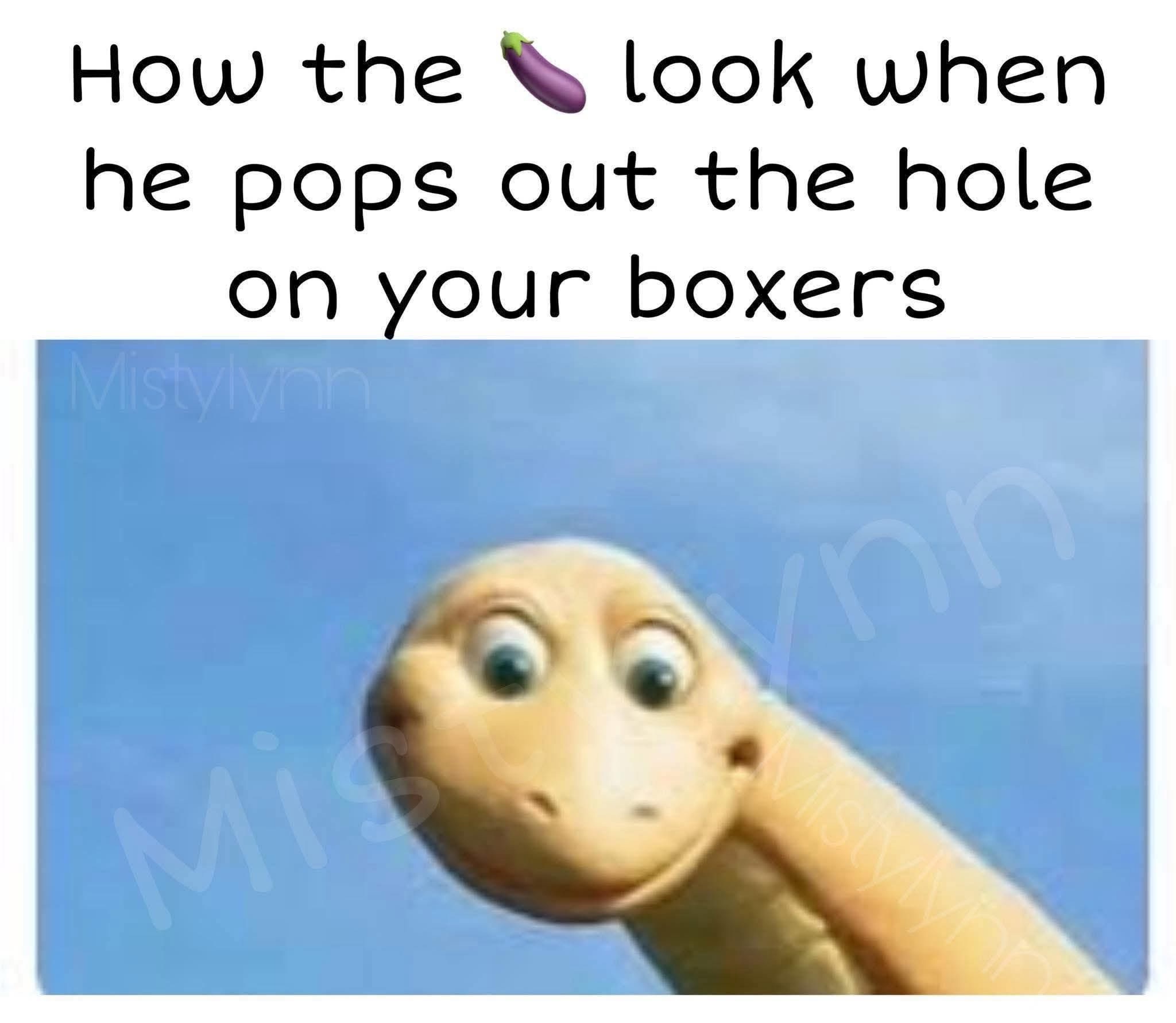 20 Memes That Take a Slightly Naughty Detour Midway 9 Pops out