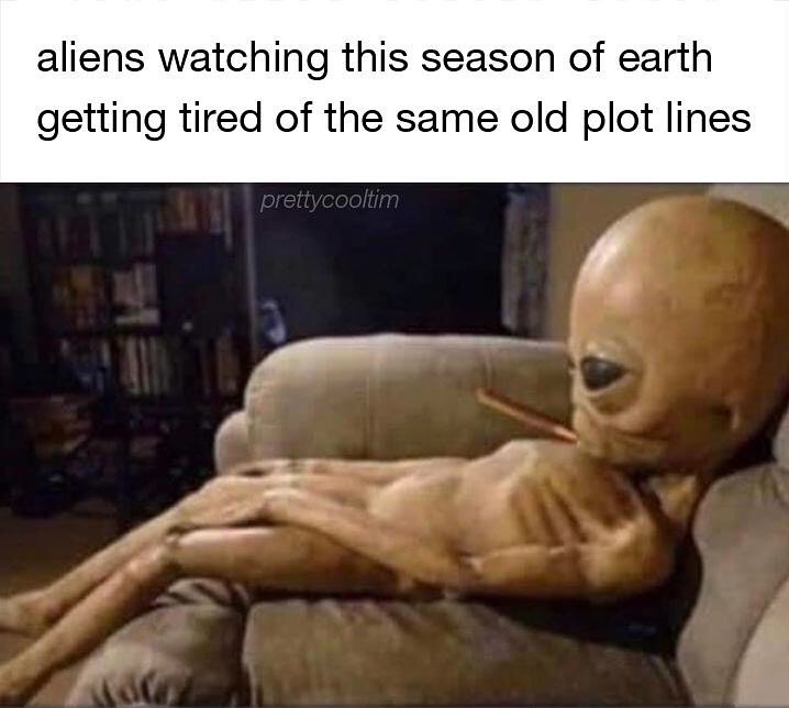20 Memes That Are Somehow Dumb and Genius at the Same Time 16 Season of earth