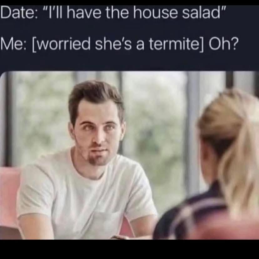 20 Internet Dumpster Fire Memes You Won’t Be Able to Look Away From 18 Shes a termite