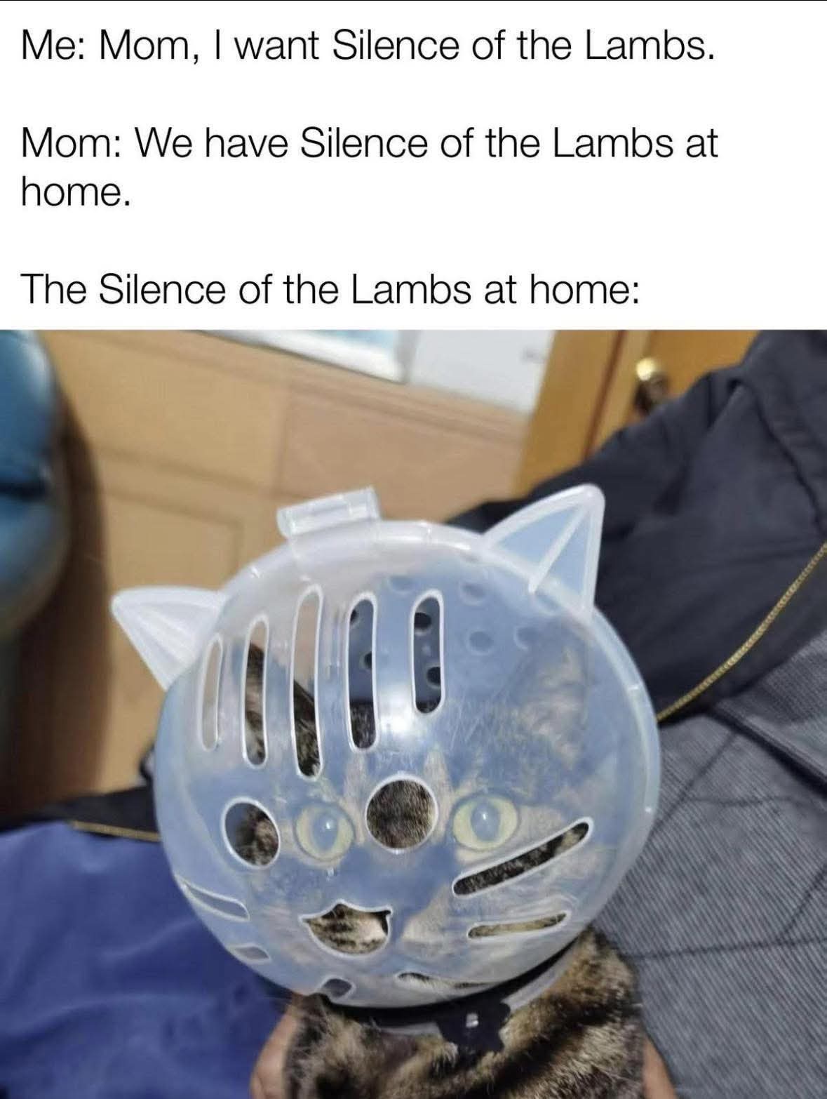 20 Random Memes That Exist for Absolutely No Reason and That’s the Reason 14 Silence of the lambs at home