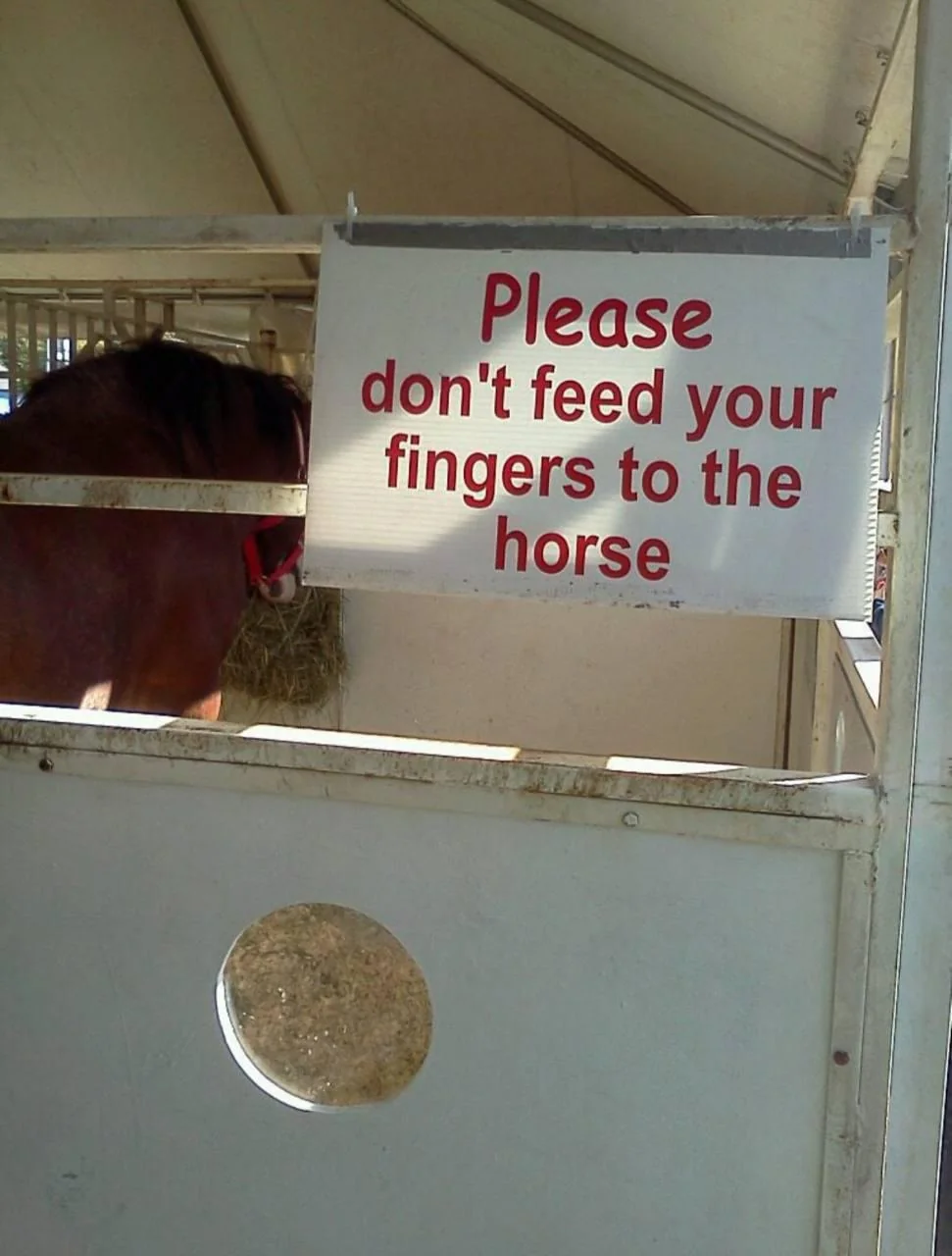 20 Oddly Funny Rules That Feel Like Inside Jokes You’re Not Part Of 19 So why is there perfectly placed hole