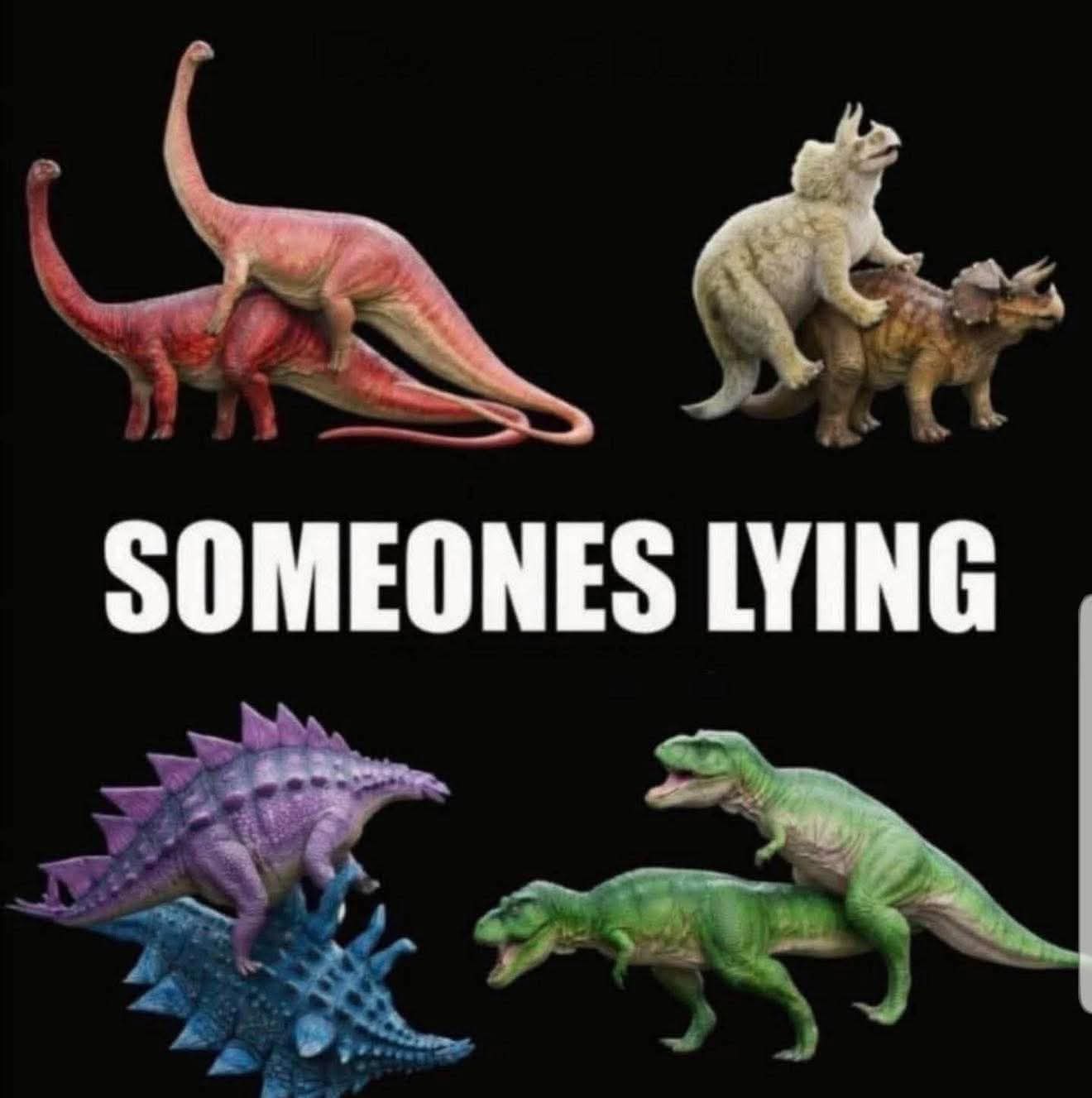 20 Memes That Were Definitely Found in a Dumpster Behind Reality 15 Someones lying