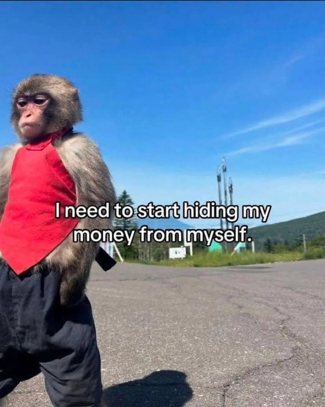 20 Random Silly Memes That Will Make You Laugh Way Harder Than They Deserve 19 Start hiding money