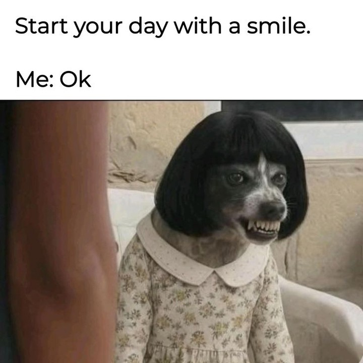 20 Unhinged Dog Memes That Didn’t Need to Go This Hard 15 Start your day with a smile