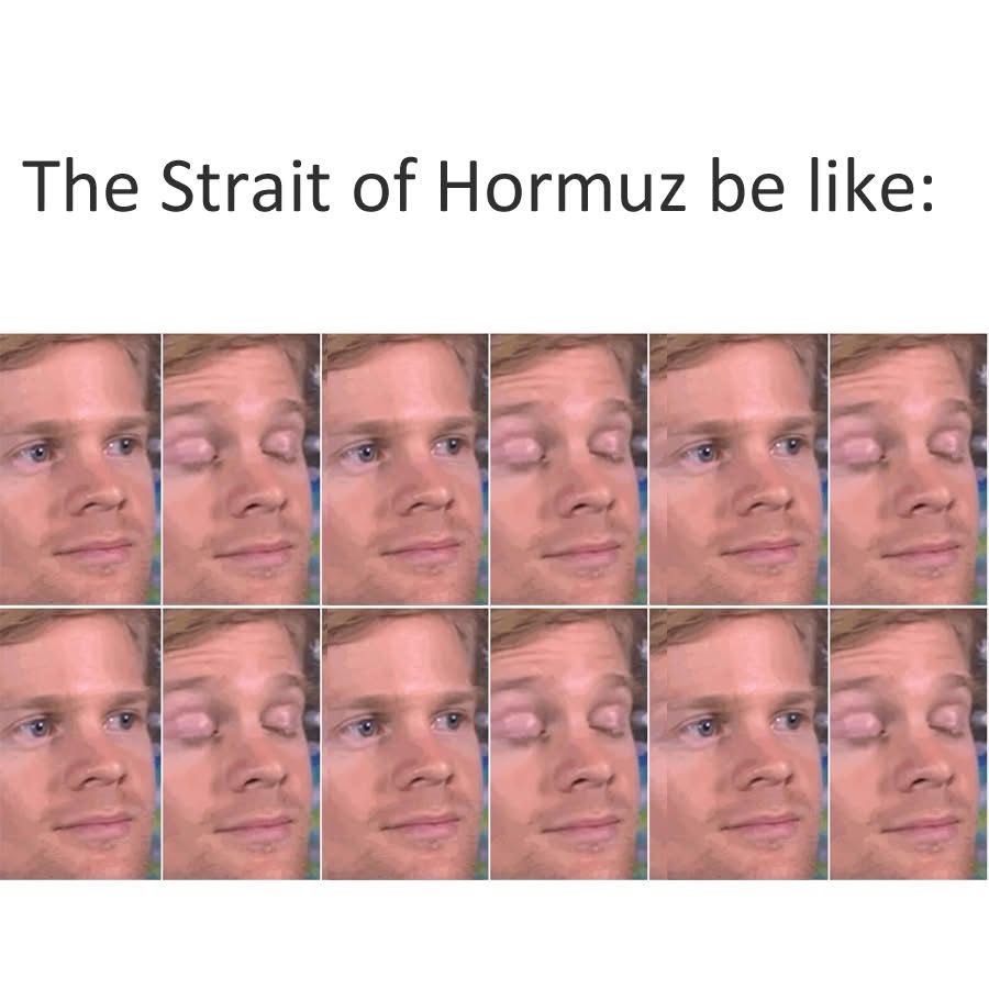 20 Memes That Feel Like a Conversation You Walked Into Midway 18 Strait of hormusz be like