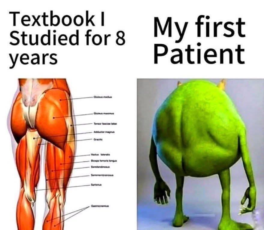 20 Memes That Were Definitely Found in a Dumpster Behind Reality 17 Textbook I studied for