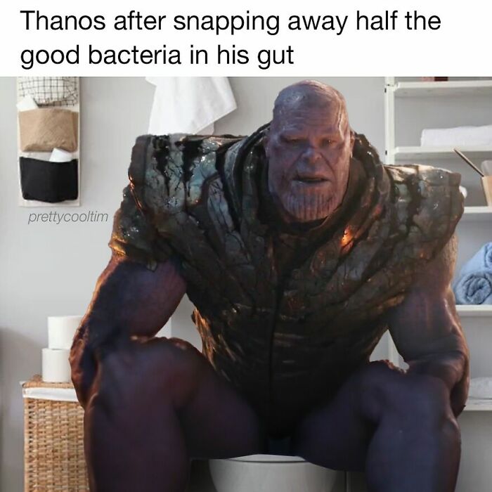 20 Memes That Are Somehow Dumb and Genius at the Same Time 18 Thanos after snapping