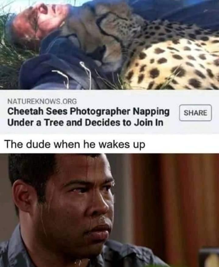 20 Memes That Feel Like Random Thoughts Escaping Your Brain 16 The dude when he wakes up